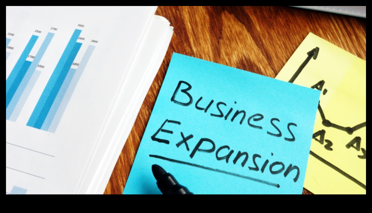 Αποκαλύφθηκε η στρατηγική ανάπτυξη: Κλειδιά για τη βιώσιμη επιχειρηματική επέκταση