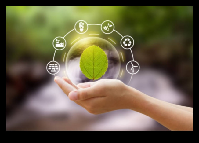 Στρατηγικές για βιώσιμη ηθική: Σοφία στην επιχειρηματική συμπεριφορά