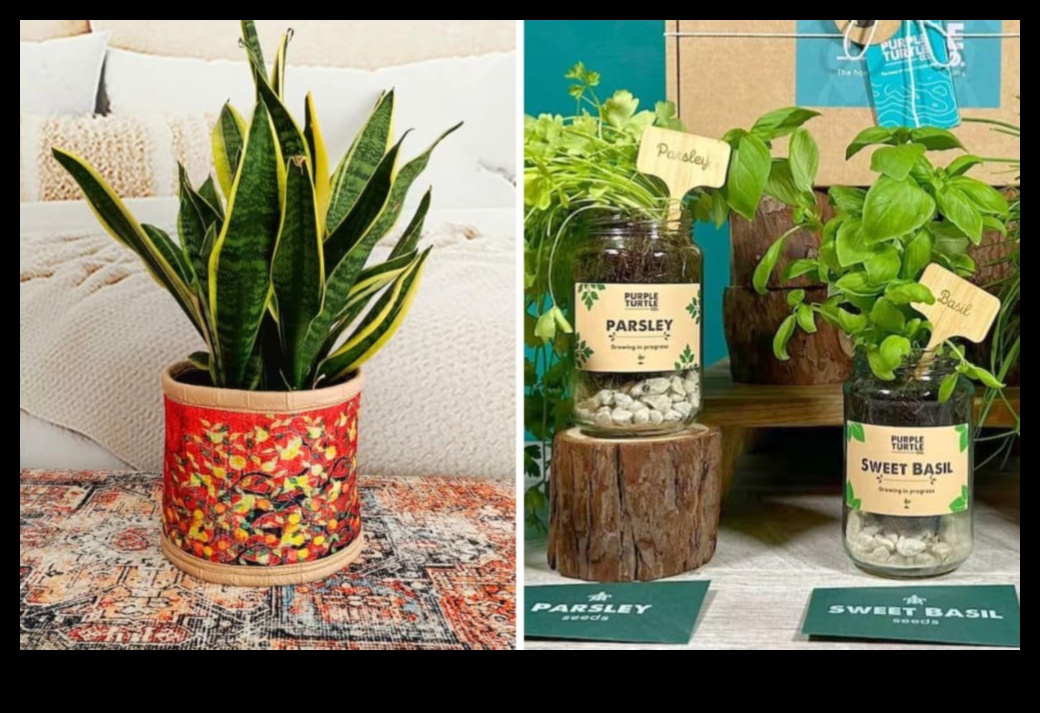 Eco-Friendly Elegance: Πράσινα δώρα για γενέθλια που αγαπούν τη Γη