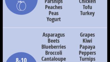 Baby's First Feasts: Introducing Solids with Smiles