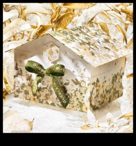 Radiant Revelations: Special Gift Concepts That Shine