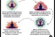 Sensory Harmony: A Symphony of Body Scan Meditation
