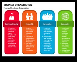 The Business Process Odyssey: Navigating the Entrepreneurial Seas