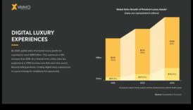 Πολυτέλεια κατ' απαίτηση: Premium συνδρομητικές υπηρεσίες για αποκλειστικό περιεχόμενο